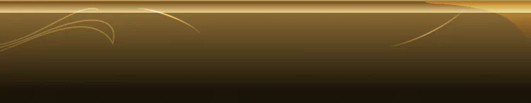 background category section